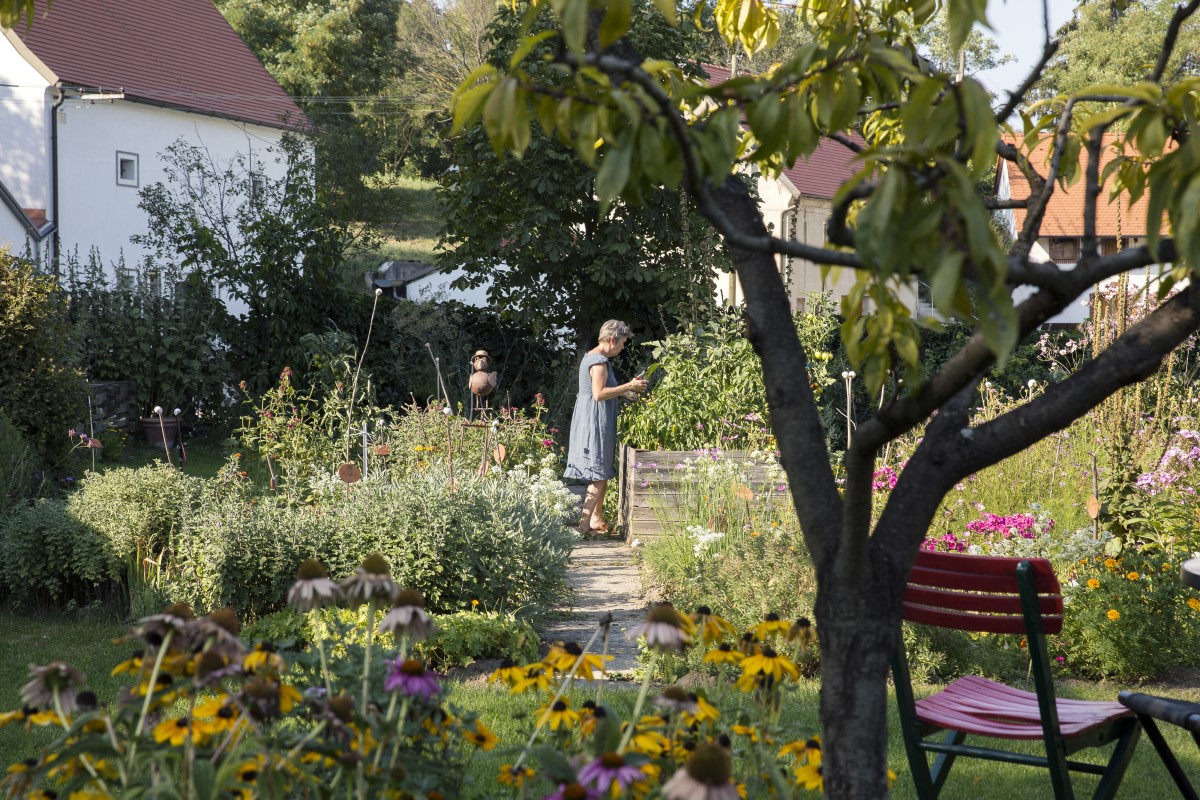 Dicas para criar e manter seu jardim em casa