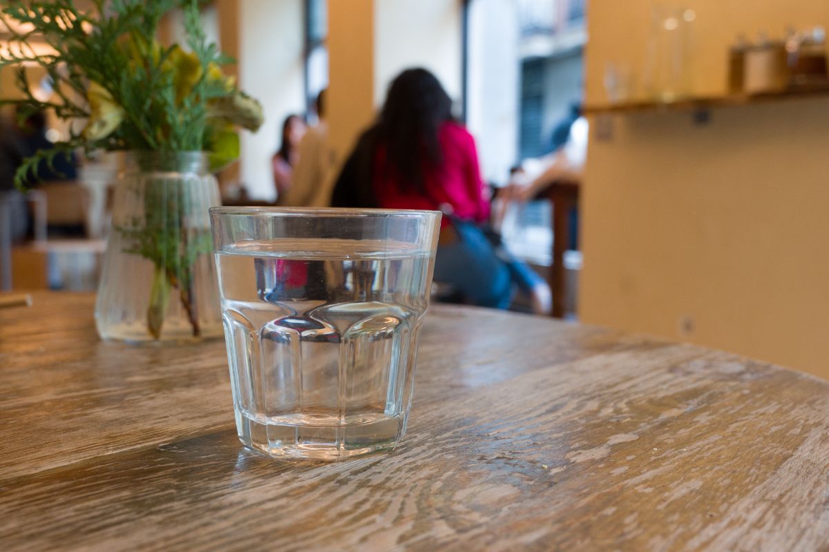 Copo de água do purificador