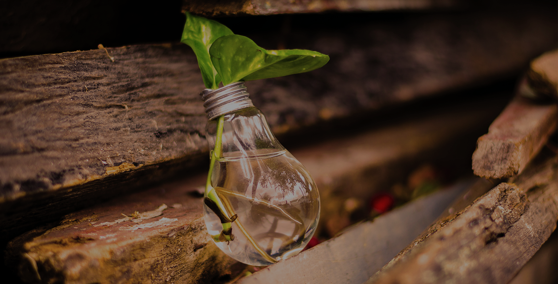 Empreender no mercado da água