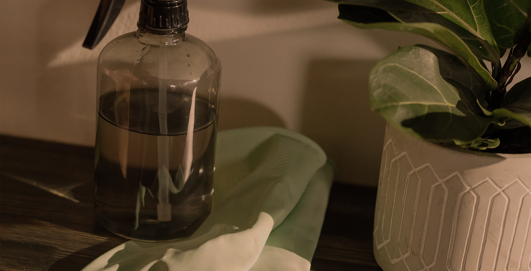 higienização do purificador