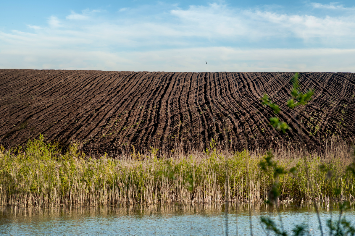 Como evitar a contaminação do solo e da água